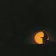 Illustration for article titled Gene Clark: iWhite Light/i